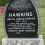52._Companion_-_Hawkins.jpg
